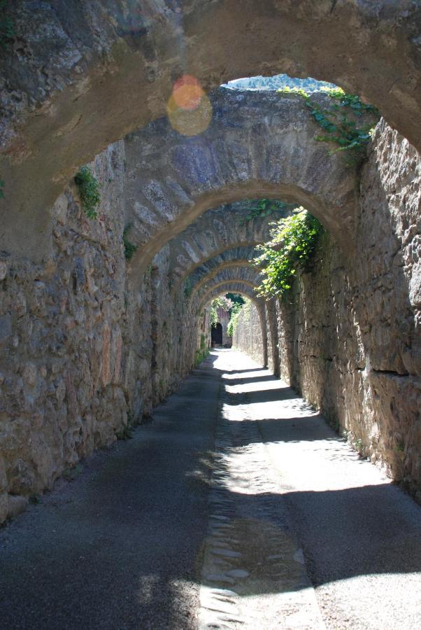 Appartement De Charme Au Coeur D Une Cite Medievale Villefranche-de-Conflent Eksteriør billede